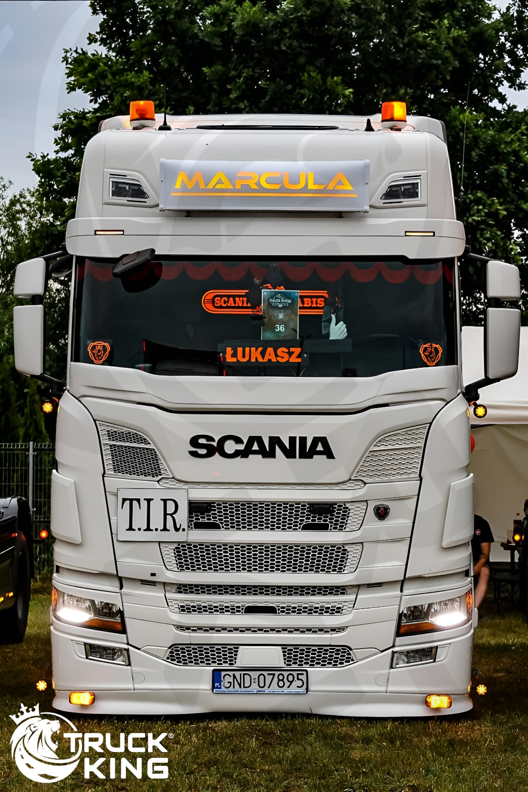 Windscreenguard 19,5 cm for Scania NTG
